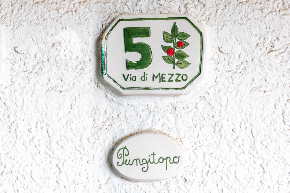 Pungitopo_013