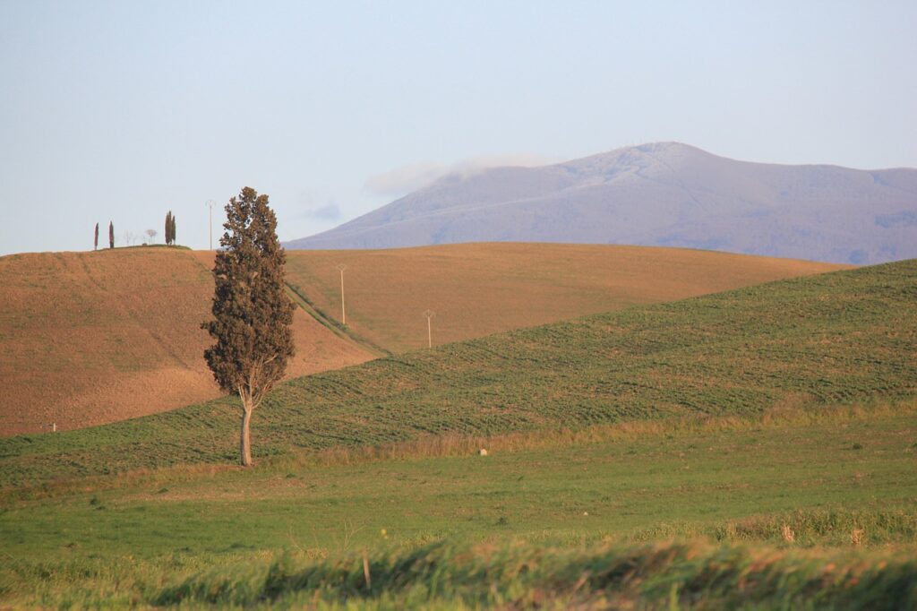 amiata
