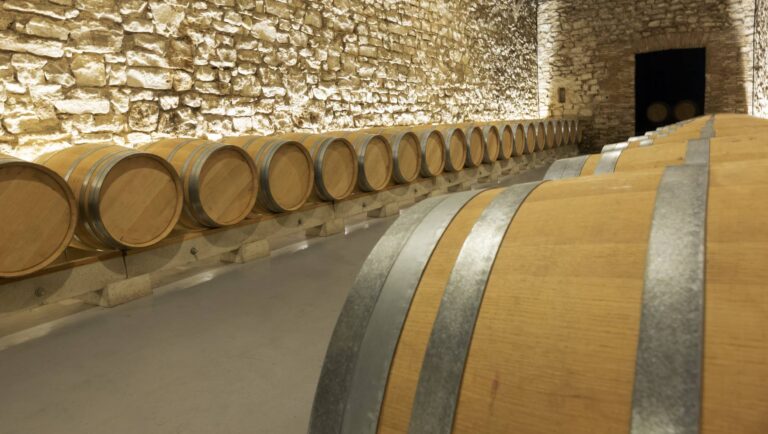 winery with many wooden barrels