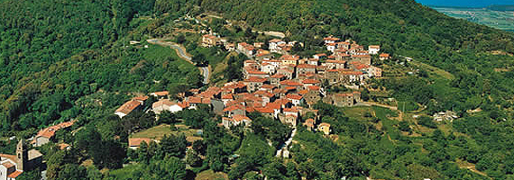 tirli